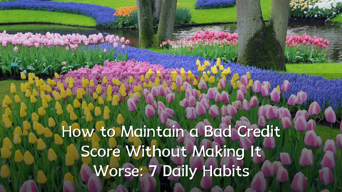 How to Maintain a Bad Credit Score Without Making It Worse: 7 Daily Habits