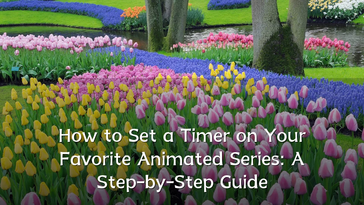 How to Set a Timer on Your Favorite Animated Series: A Step-by-Step Guide