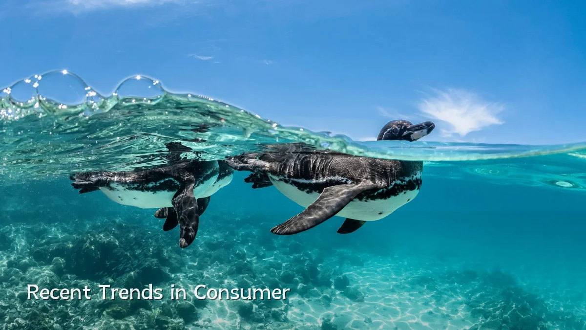 Recent Trends in Consumer