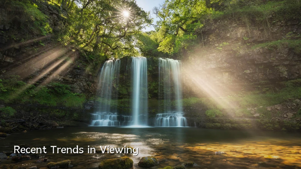 Recent Trends in Viewing